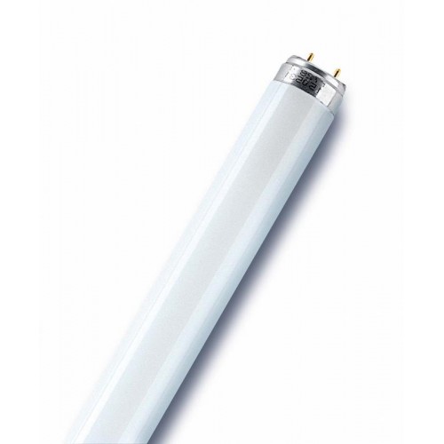 Лампа люминесцентная L 18W/865 LUMILUX 18Вт T8 6500К G13 смол.