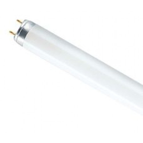 Лампа люминесцентная L 30W/765 30Вт T8 6500К G13