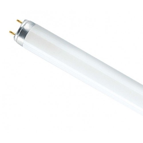 Лампа люминесцентная T8-18W/640