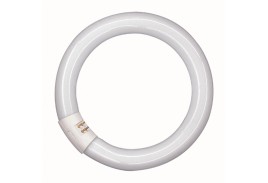 Лампа люминесцентная TL-E 32W/54-765 1CT/12 32Вт кольцевая 6200К G10q