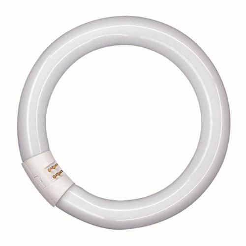 Лампа люминесцентная TL-E 32W/54-765 1CT/12 32Вт кольцевая 6200К G10q
