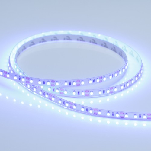 Лента RT 2-5000 12V Blue 2x (3528, 600 LED, LUX) (Arlight, 9.6 Вт/м, IP20)