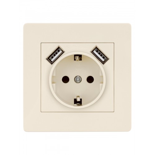 Розетка 2П+З 16А 250В + 2 USB порта 2,1А 5В сл. кость "Сенеж" TDM