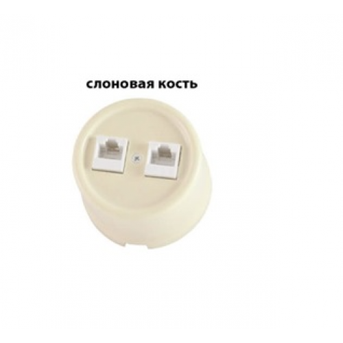 Розетка двойная компьютерная RJ45 сл. кость «Болонь» TDM