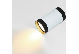 Спот GWL-GU10-M-IP20 Белый + Черный верх Соты