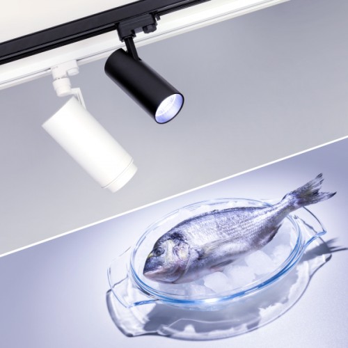 Светильник LGD-ZEUS-4TR-R88-20W Cool SP7500-Fish (BK, 20-60 deg, 230V) (Arlight, IP20 Металл, 3 года