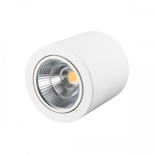 Светильник SP-FOCUS-R140-30W Day White (Arlight, IP20 Металл, 3 года)