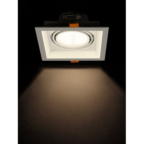 Светильник встраиваемый карданный "Фокус-1" LED CSL-01-1x11-WW 11 Вт, 35°, 3000 К, 80 Ra, IP20, TDM