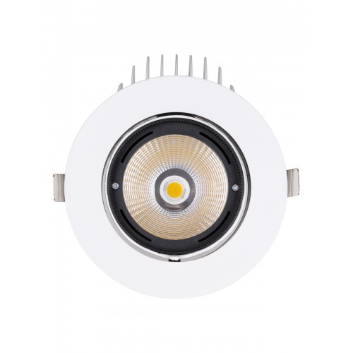 Светильник встраиваемый поворотный "Акцент-1" LED DSL-01-040-NW 40 Вт, 24°, 4000 К, 90 Ra, IP40, TDM