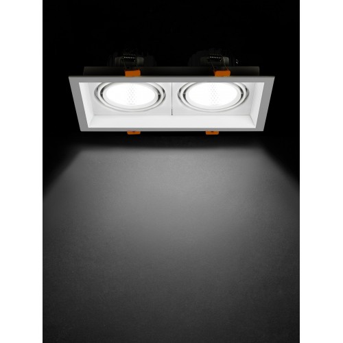 Светильник встраиваемый карданный "Фокус-1" LED CSL-01-2x11-NW 22 Вт, 35°, 4000 К, 80 Ra, IP20, TDM