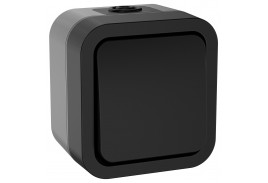 TORS Переключатель одноклавишный 10А IP55 TS101 графит IEK