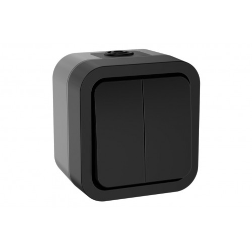 TORS Выключатель двухклавишный 10А IP55 TS105 графит IEK