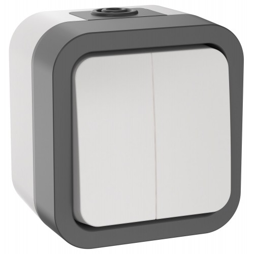 TORS Выключатель двухклавишный 10А IP55 TS205 серо-белый IEK