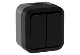 TORS Выключатель двухклавишный проходной 10А IP55 TS125 графит IEK