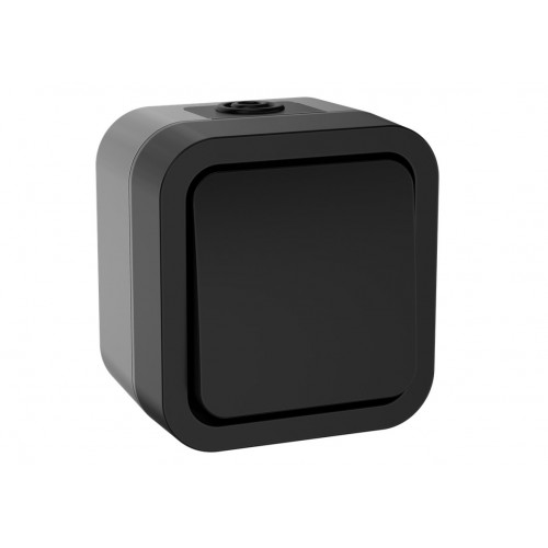 TORS Выключатель двухполюсный одноклавишный 10А IP55 TS111 графит IEK