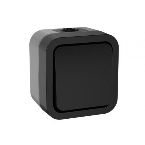 TORS Выключатель кнопочный 10А IP55 TS110 графит IEK