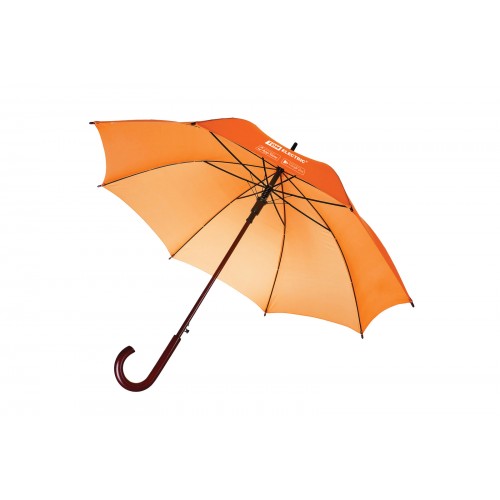 Зонт-трость TDM